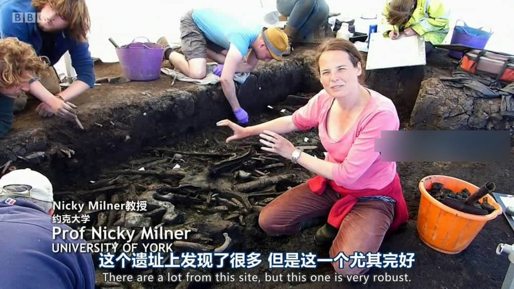 BBC纪录片《发掘英伦：伟大发现 Digging for Britain:The Greatest Discoveries 2020》[全4集][中英双字][720P][网盘][资源下载]