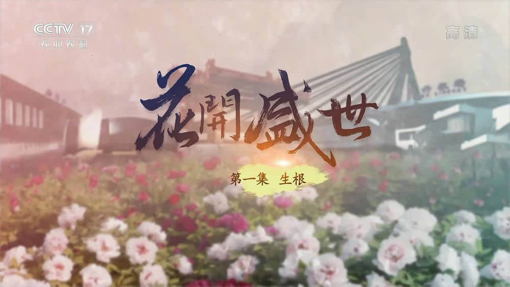 央视纪录片《花开盛世 2022》[全3集][中字][1080P][网盘][资源下载]