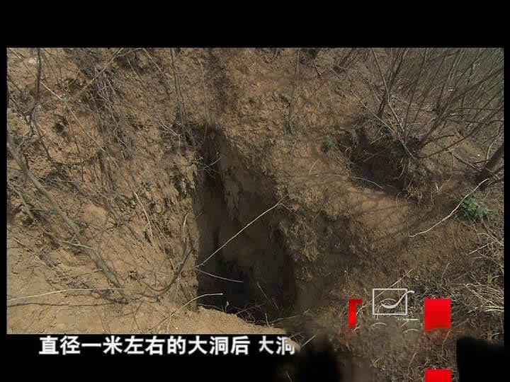 央视考古纪录片《发现曹操墓》[全4集][中字][DVD画质][网盘][资源下载]