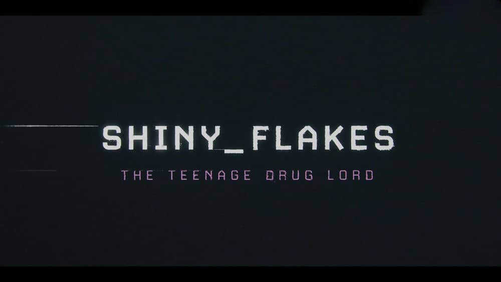 Netflix纪录片《暗网青年毒枭 Shiny_Flakes:The Teenage Drug Lord 2021》[中字][1080P][网盘][资源下载]