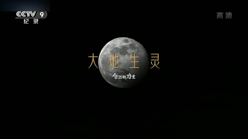 央视纪录片《自然的力量·大地生灵 2022》[全6集][中字][1080P][网盘][资源下载]