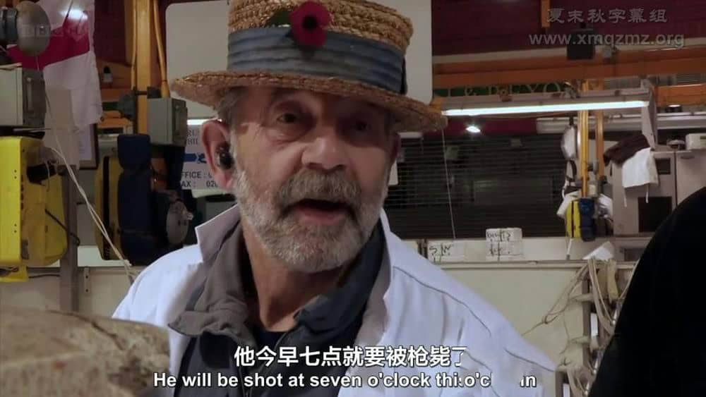 BBC纪录片《伦敦市场 The London Markets》[全3集][中英双字][720P][网盘][资源下载]