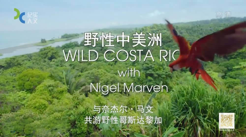 上海纪实频道纪录片《野性中美洲 Wild Central America》[全2集][中字][DVD画质][网盘][资源下载]