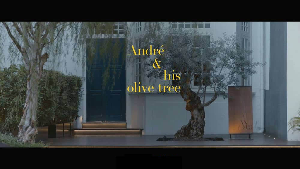 纪录电影《初心 Andre and His Olive Tree 2020》[中字][1080P][网盘][资源下载]