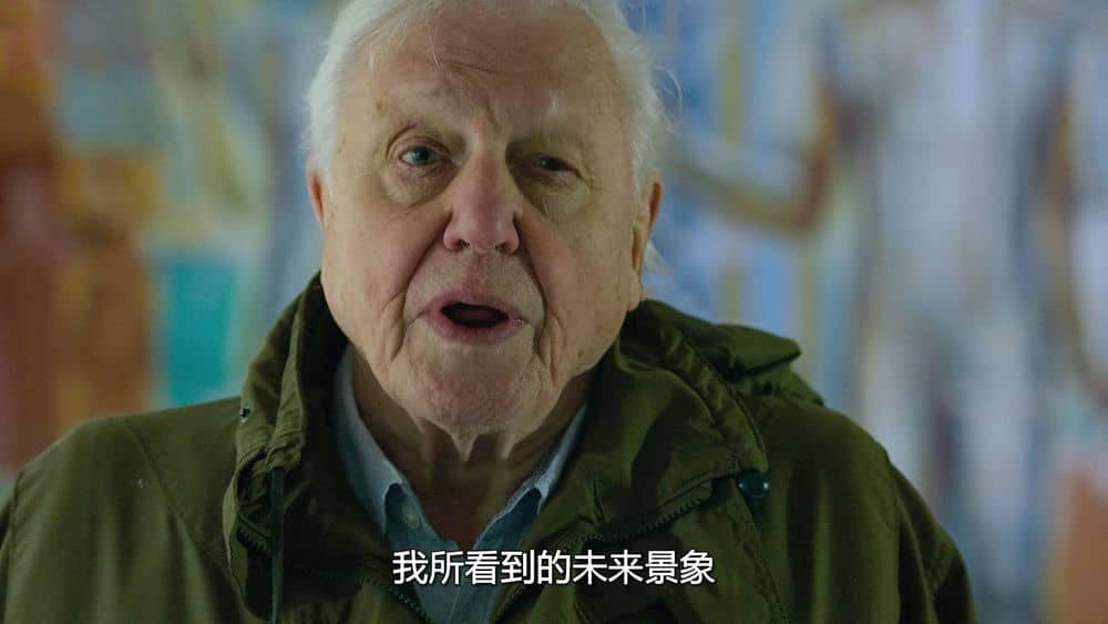 Netflix纪录电影《大卫·爱登堡：地球上的一段生命旅程 David Attenborough:A Life on Our Planet 2020》[无字幕][外挂字幕][4K][1080P][网盘][资源下载]