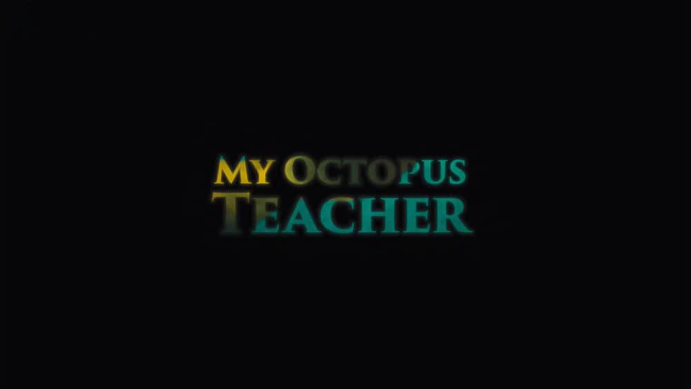 Netflix纪录电影《我的章鱼老师 My Octopus Teacher 2020》[无字幕][外挂字幕][1080P][网盘][资源下载]