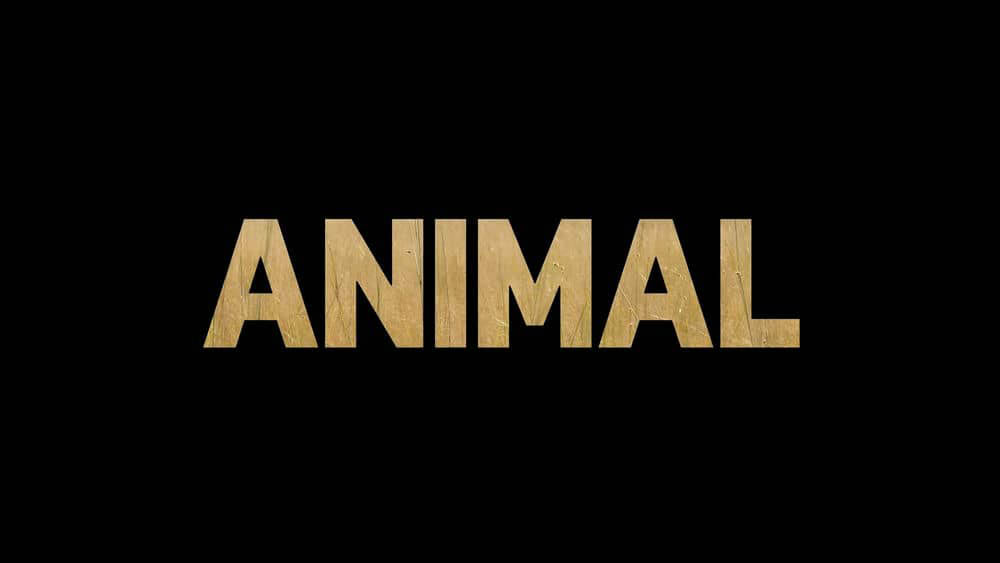 Netflix纪录片《动物本色 Animal 2021》[第一季全4集][中字][1080P][网盘][资源下载]