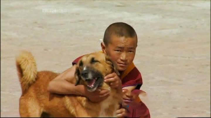 BBC纪录片《西藏一年 A Year in Tibet》[全5集][中英双字][DVD画质][网盘][资源下载]