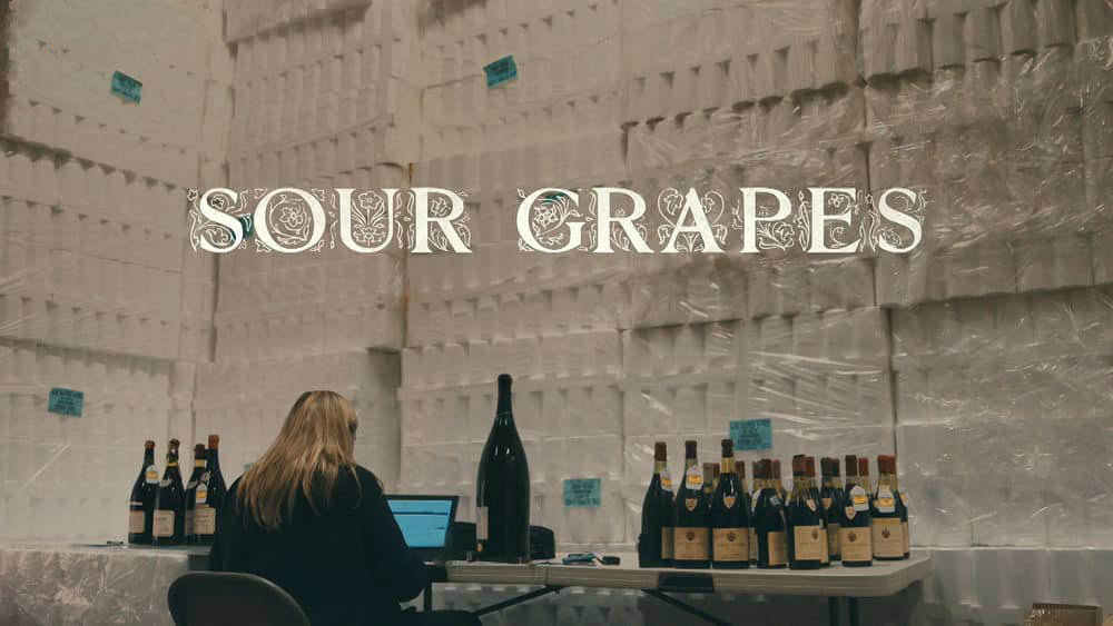 纪录电影《酸葡萄 Sour Grapes 2016》英语内挂繁中[1080P][网盘][资源下载]