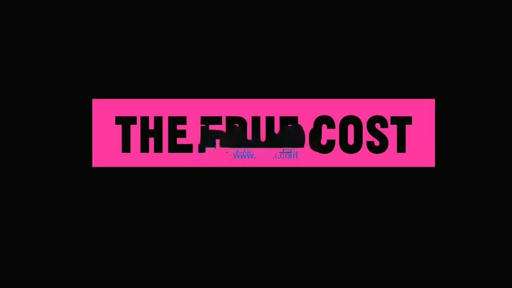 纪录电影《真正的成本 时尚代价 The True Cost 2015》[中字][720P][网盘][资源下载]