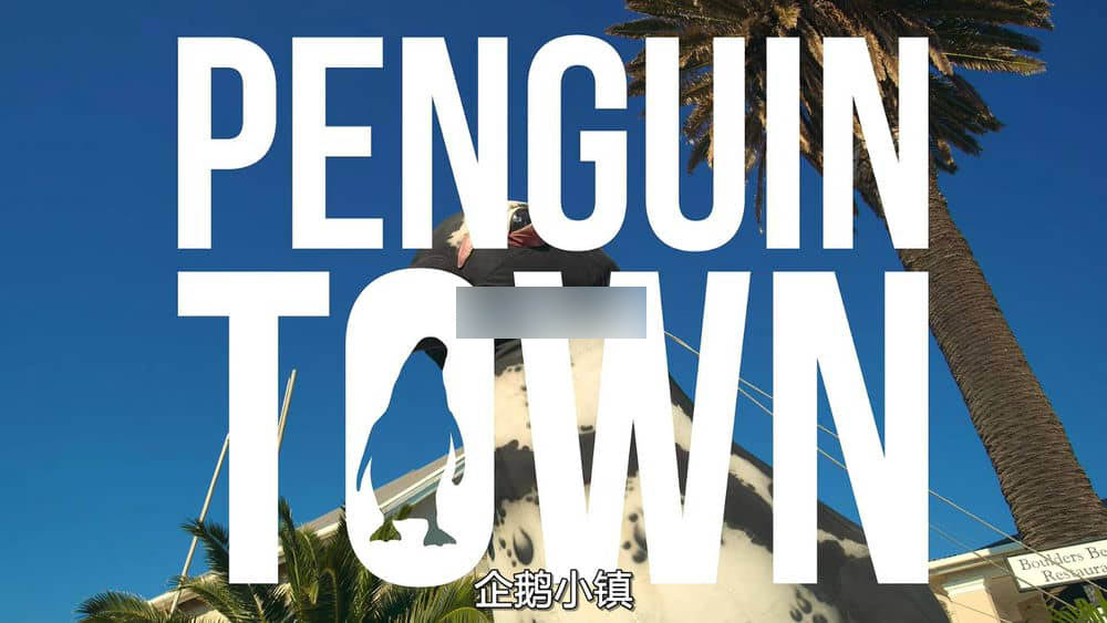 Netflix纪录片《企鹅小镇 Penguin Town 2021》[全8集][中字][1080P][网盘][资源下载]