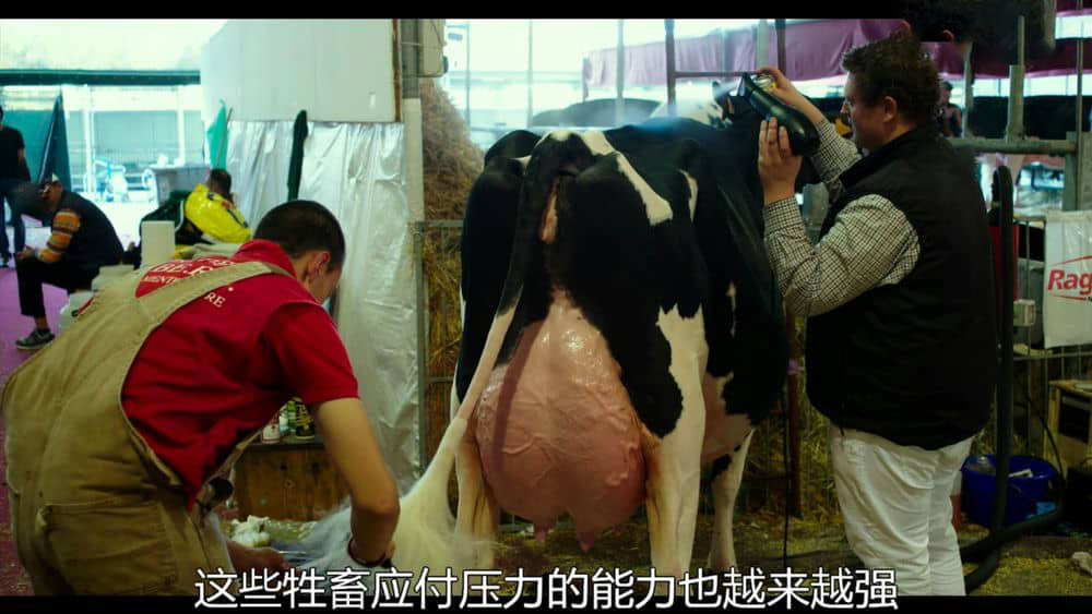 德国纪录电影《鲜乳哪里来 Das System Milch 2017》[中字][1080P][网盘][资源下载]