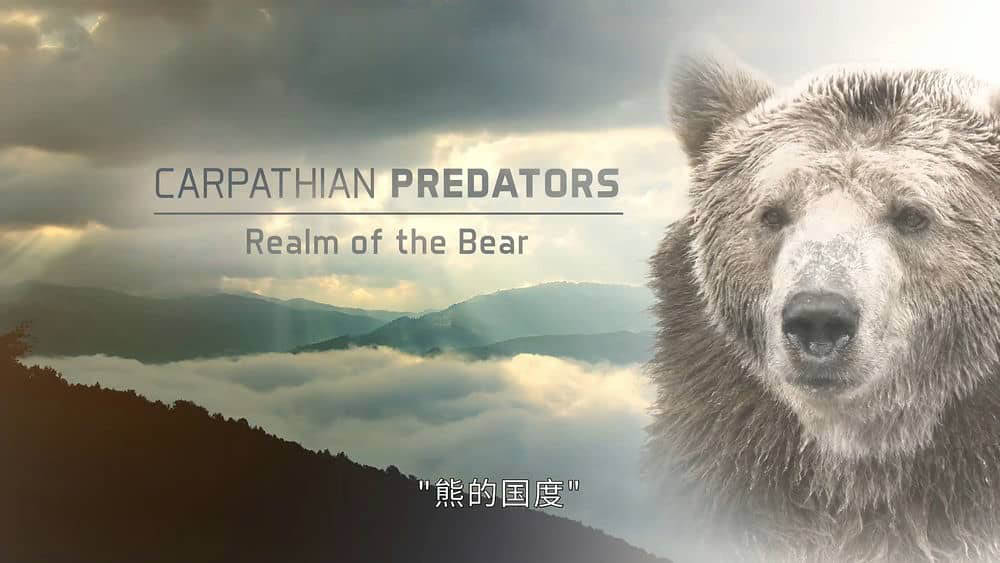 加拿大纪录片《致命掠食者 Carpathian Predators 2020》[全2集][中字][1080P][网盘][资源下载]