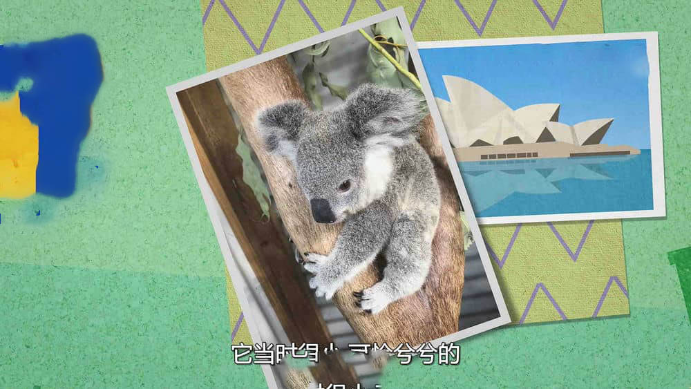 Netflix纪录片《伊兹的考拉世界 Izzy's Koala World 2020》[全8集][无字幕][外挂字幕][1080P][网盘][资源下载]