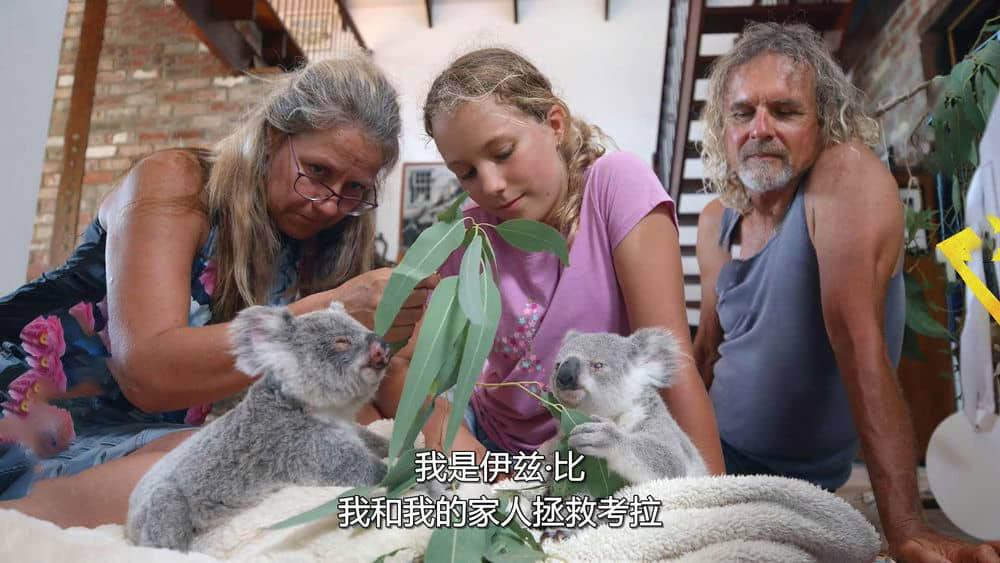 Netflix纪录片《伊兹的考拉世界 Izzy's Koala World 2020》[全8集][无字幕][外挂字幕][1080P][网盘][资源下载]