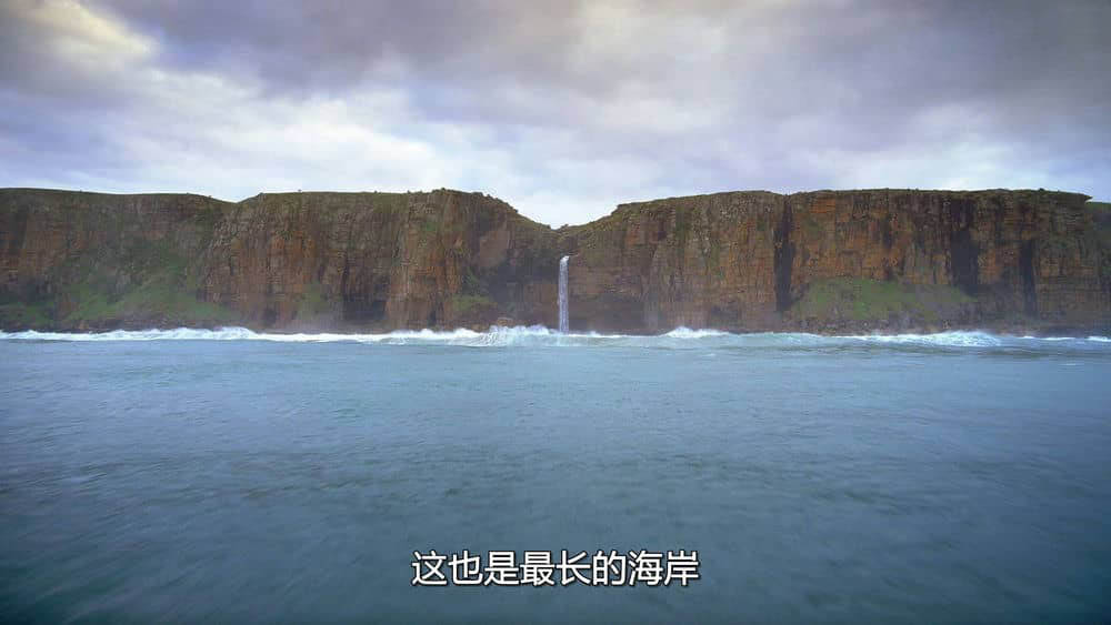 IMAX纪录片《狂野之海 Wild Ocean 2008》[全1集][无字幕][外挂字幕][3D][1080P][网盘][资源下载]