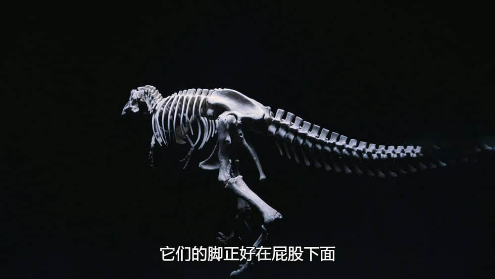 IMAX纪录片《恐龙再现 Dinosaurs Alive 2007》[全1集][无字幕][外挂字幕][3D][1080P][网盘][资源下载]