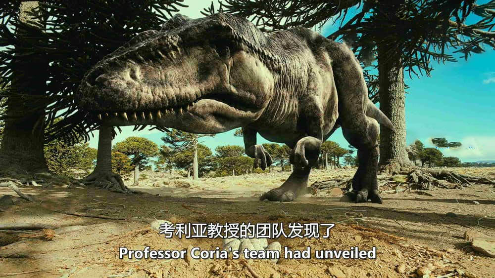 IMAX纪录片《恐龙再现 恐龙:巴塔哥尼亚的巨兽 Dinosaurs:Giants of Patagonia 2007》[全1集][无字幕][外挂字幕][3D][1080P][网盘][资源下载]