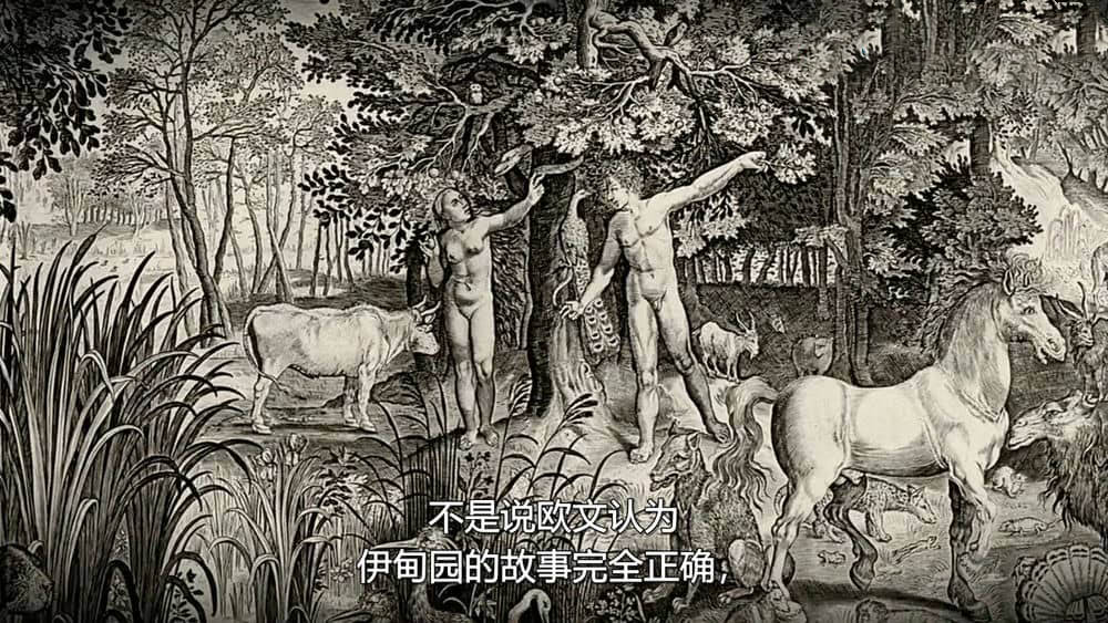 BBC纪录片《达尔文和生命之树 Charles Darwin and the Tree of Life 2009》[全1集][无字幕][外挂字幕][720P][网盘][资源下载]