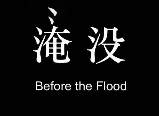 独立纪录电影《淹没 Before the Flood 2005》[有字幕][DVD画质][网盘][资源下载]