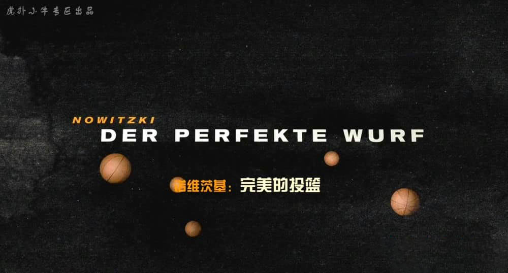 人物传记纪录片《诺维茨基：完美的投篮 Nowitzki:Der perfekte Wurf 2014》[中字][720P][网盘][资源下载]