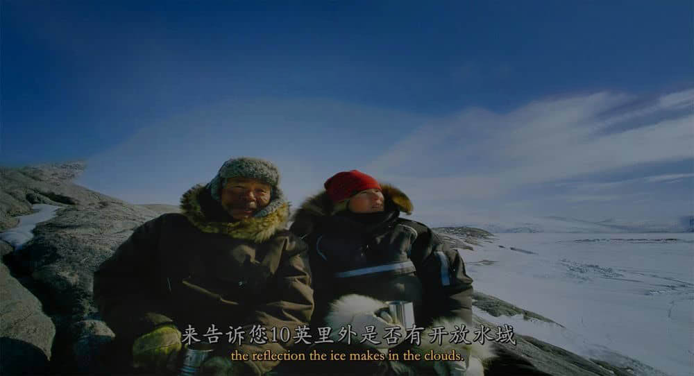 IMAX纪录片《北极奇观 Wonders of the Arctic 2014》[全1集][中英双字][4K][网盘][资源下载]