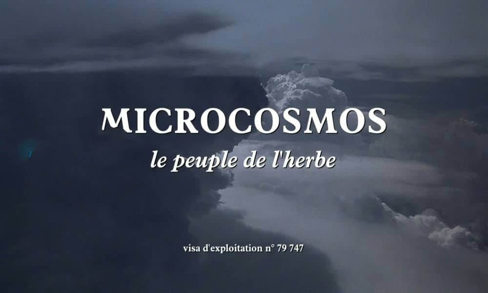 法国纪录电影《微观世界 Microcosmos:Le peuple de l'herbe 1996》[无字幕][外挂字幕][1080P][网盘][资源下载]