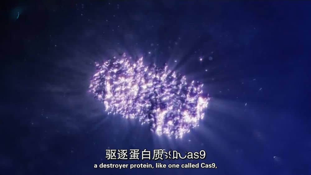 PBS纪录片《奇迹 Wonders 2018》[全6集][中英双字][720P][网盘][资源下载]