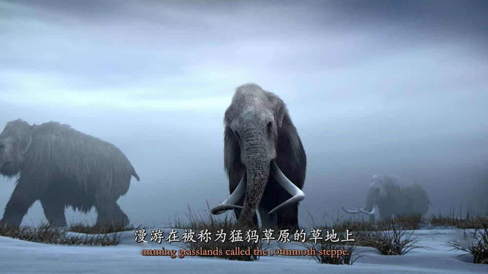 IMAX纪录片《冰河时代的巨人 Titans of the Ice Age 2013》[全1集][中英双字][4K][1080P][网盘][资源下载]