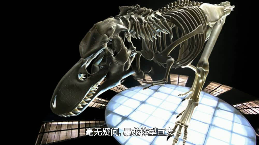 BBC纪录片《恐龙系列之杀手真面目 The Truth About Killer Dinosaurs 2005》[全2集][无字幕][外挂字幕][1080P][网盘][资源下载]