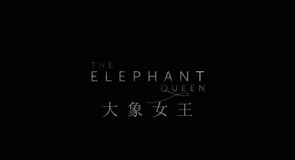 纪录电影《大象女王 The Elephant Queen 2018》[无字幕][外挂字幕][4K][1080P][网盘][资源下载]