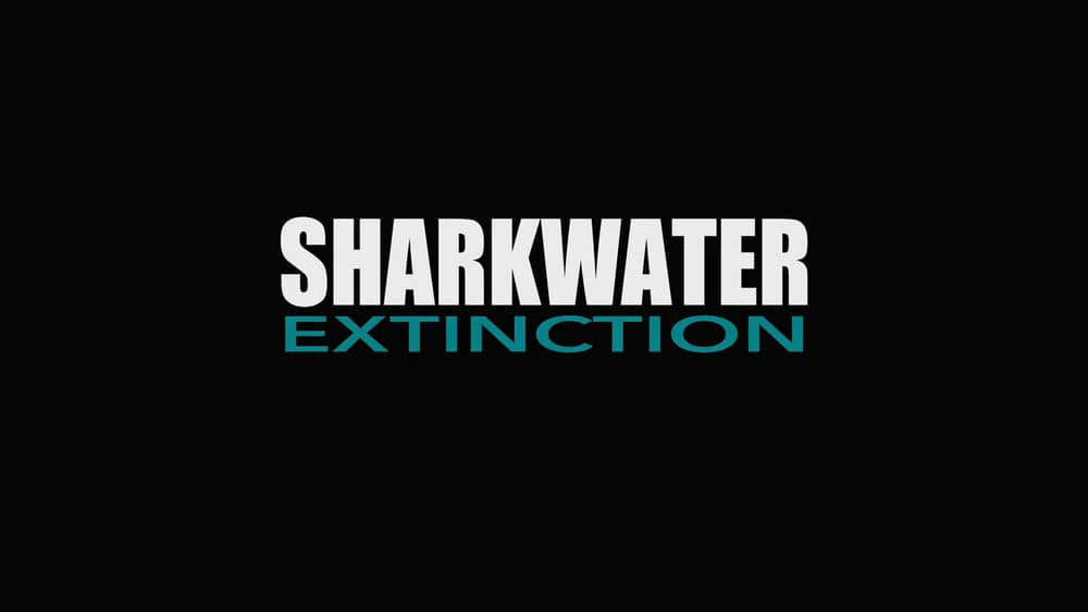 纪录电影《鲨鱼海洋：灭绝 Sharkwater Extinction 2018》[中字][1080P][网盘][资源下载]