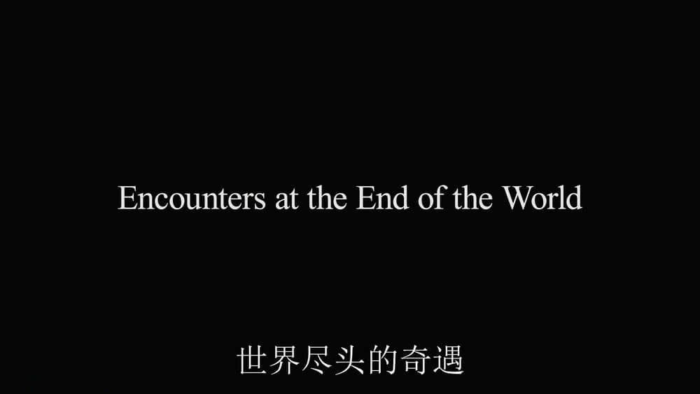 纪录电影《在世界尽头相遇 Encounters at the End of the World 2007》[无字幕][外挂字幕][1080P][网盘][资源下载]