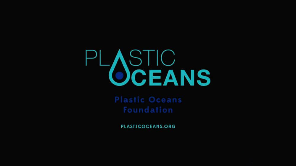 纪录电影《塑料海洋 A Plastic Ocean 2016》[中字][1080P][网盘][资源下载]