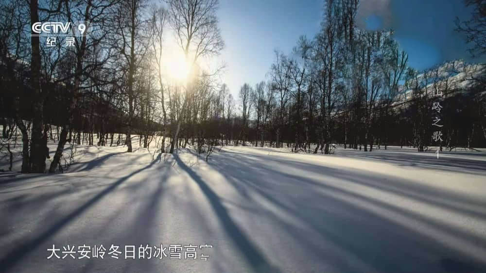 央视纪录片《山岭之歌 2019》[全5集][中字][1080P][网盘][资源下载]