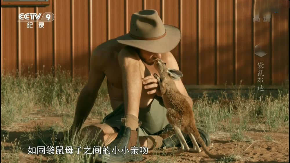 央视译制纪录片《袋鼠邓迪 Kangaroo Dundee》[全2集][中字][1080P][网盘][资源下载]