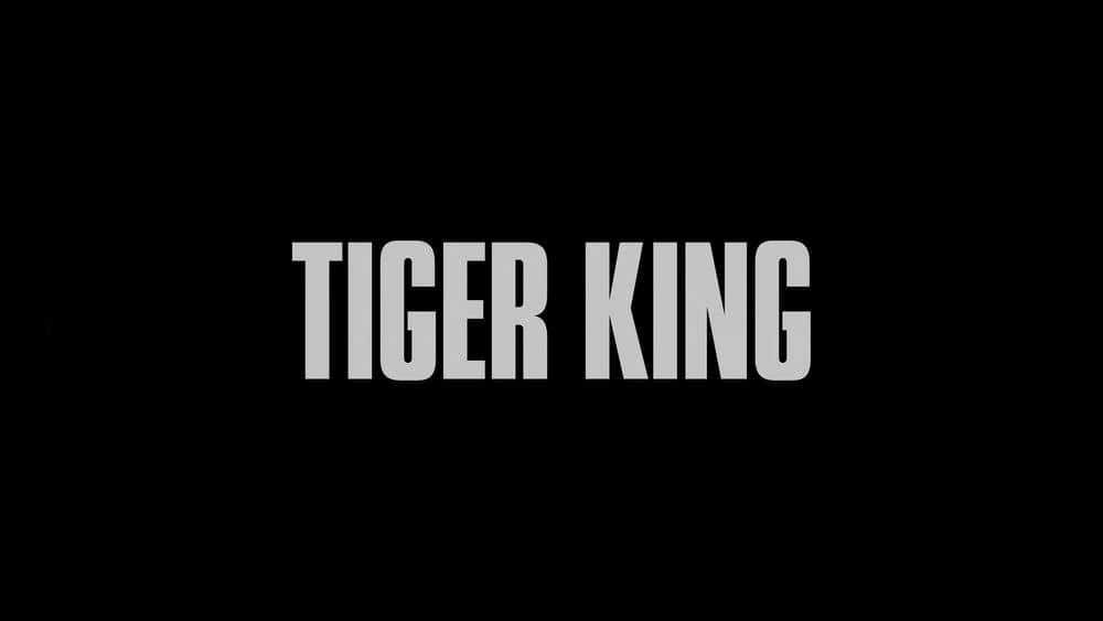 Netflix纪录片《养虎为患：安特尔博士的故事 Tiger King:The Doc Antle Story 2021》[全3集][中字][1080P][网盘][资源下载]