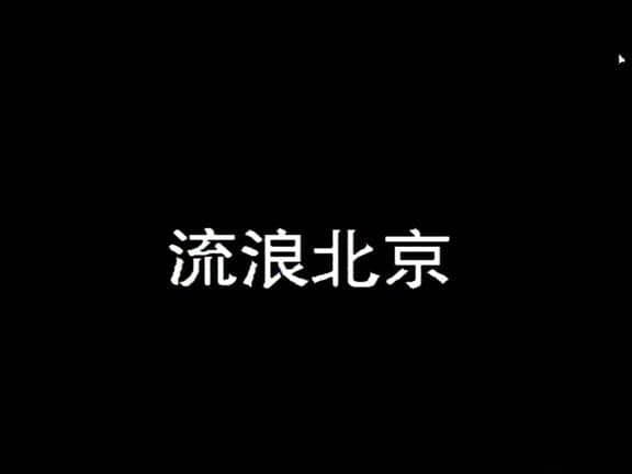 独立纪录电影《流浪北京 1990》[无字幕][外挂字幕][DVD画质][网盘][资源下载]