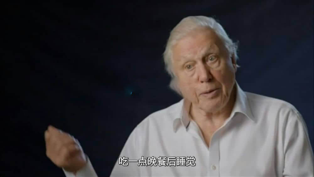 BSkyB纪录片《90岁的爱登堡 - 镜头背后 Attenborough at 90:Behind the Lens 2016》[全1集][无字幕][外挂字幕][720P][网盘][资源下载]