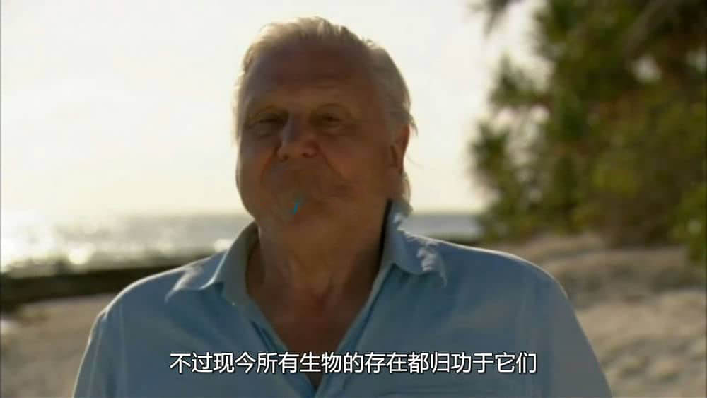 BSkyB纪录片《90岁的爱登堡 - 镜头背后 Attenborough at 90:Behind the Lens 2016》[全1集][无字幕][外挂字幕][720P][网盘][资源下载]