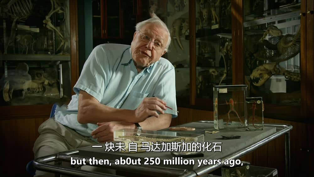 BBC纪录片《自然世界：爱登保罗爷爷带你看绝妙的蛙 Natural World:Attenborough's Fabulous Frogs 2014》[全1集][无字幕][外挂字幕][1080P][网盘][资源下载]