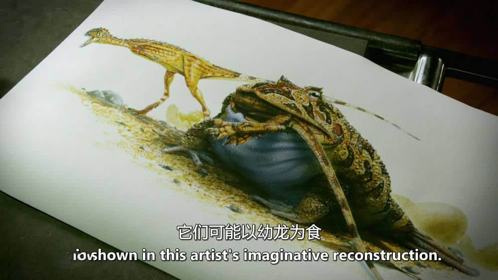 BBC纪录片《自然世界：爱登保罗爷爷带你看绝妙的蛙 Natural World:Attenborough's Fabulous Frogs 2014》[全1集][无字幕][外挂字幕][1080P][网盘][资源下载]