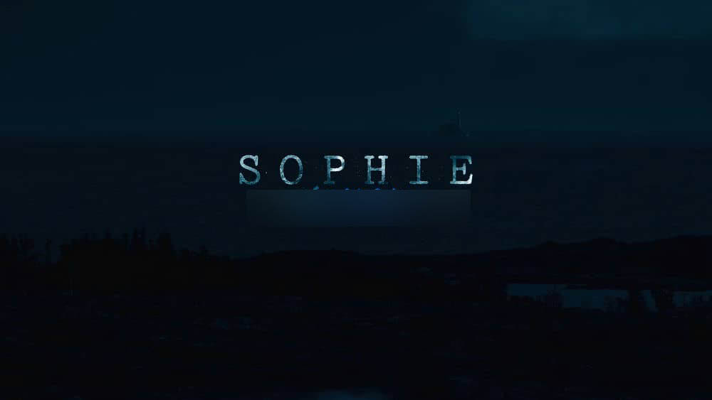 Netflix纪录片《苏菲之死：爱尔兰离奇血案 Sophie:A Murder in West Cork 2021》[全3集][中字][1080P][网盘][资源下载]