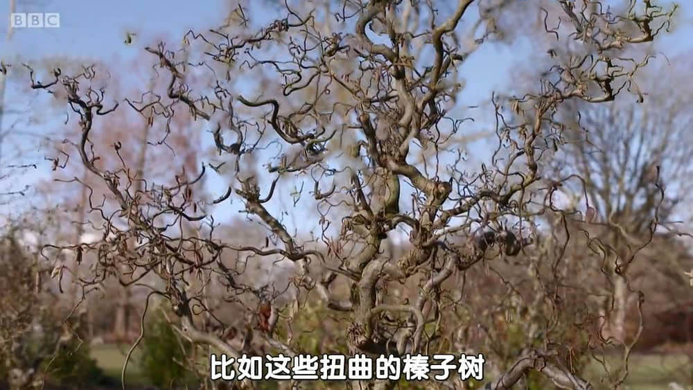 BBC纪录片《园艺世界 Gardeners' Worl 2015》[ 第四十八季全31集][中字][720P][网盘][资源下载]