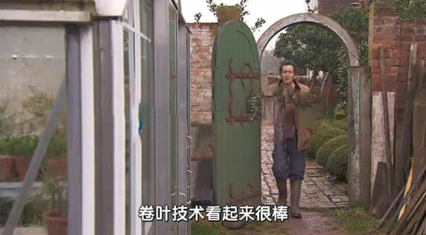 BBC纪录片《园艺世界 Gardeners' World 2013》[ 第四十六季全31集][中字][DVD画质][网盘][资源下载]