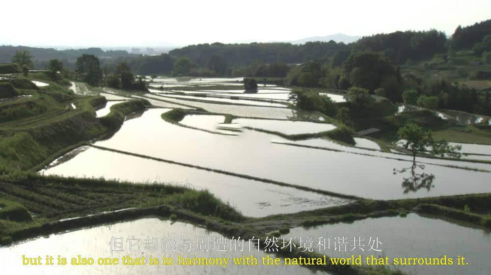 NHK纪录片《映像诗：日本里山神秘水上花园 Satoyama:Japan's Secret Watergarden 2005》[全2集][国英双轨][无字幕][外挂字幕][1080P][网盘][资源下载]