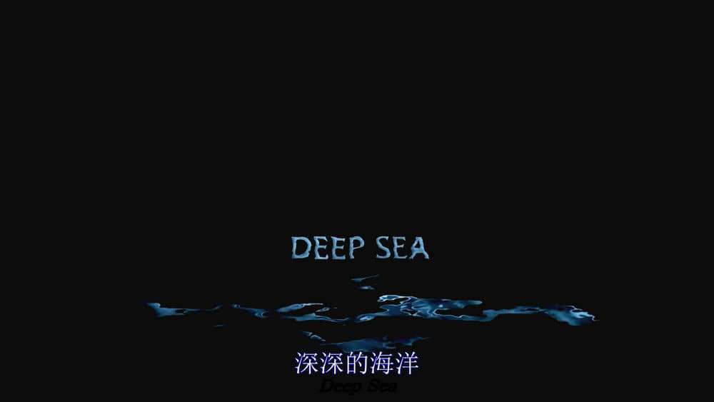 IMAX纪录片《深海猎奇 Deep Sea 2006》[全1集][无字幕][外挂字幕][1080P][网盘][资源下载]