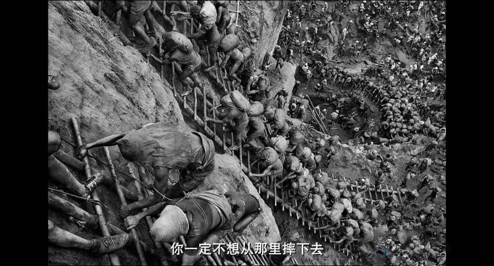 法国纪录电影《地球之盐 Le sel de la Terre 2014》[中字][720P][网盘][资源下载]