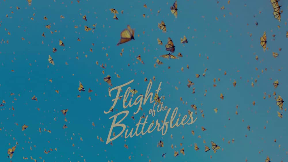 IMAX纪录片《帝王蝶的迁徙 Flight of the Butterflies 2012》[全1集][无字幕][外挂字幕][4K][网盘][资源下载]