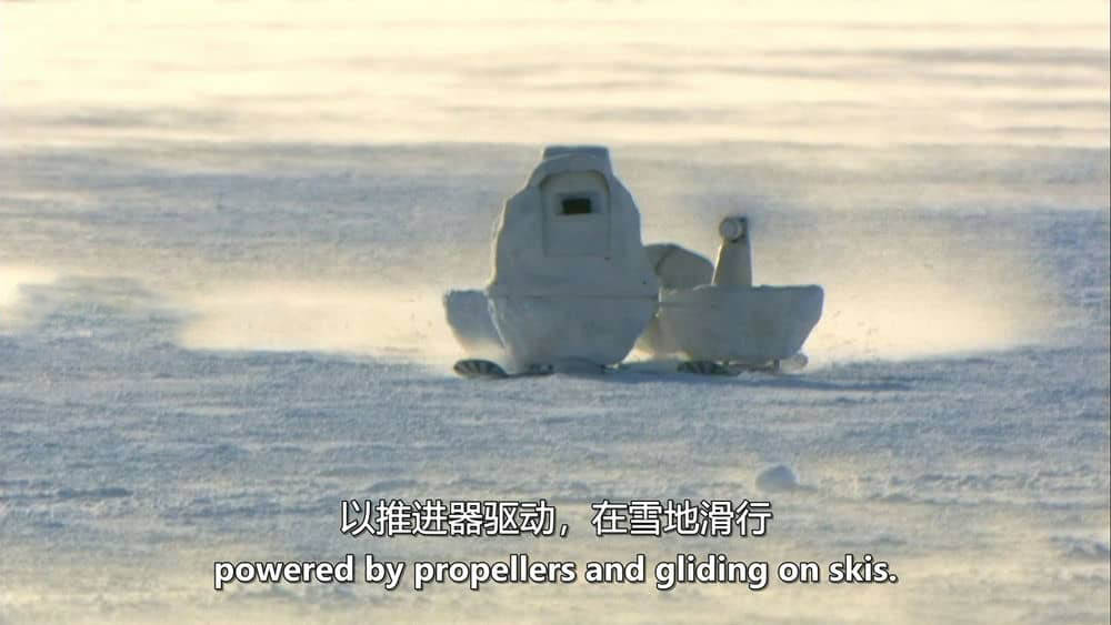 BBC纪录片《北极熊：冰上侦探 Polar Bear Spy on the Ice 2010》[全2集][无字幕][外挂字幕][720P][网盘][资源下载]